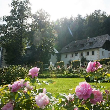 Penzl 9 Panzió Longostagno Kültér fotó